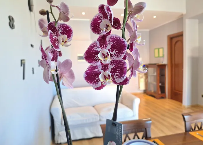 Gargallo *
